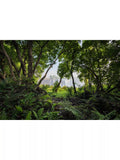 Nikon Z 14-30mm f/4 S ultra wide lens, imported from the UK