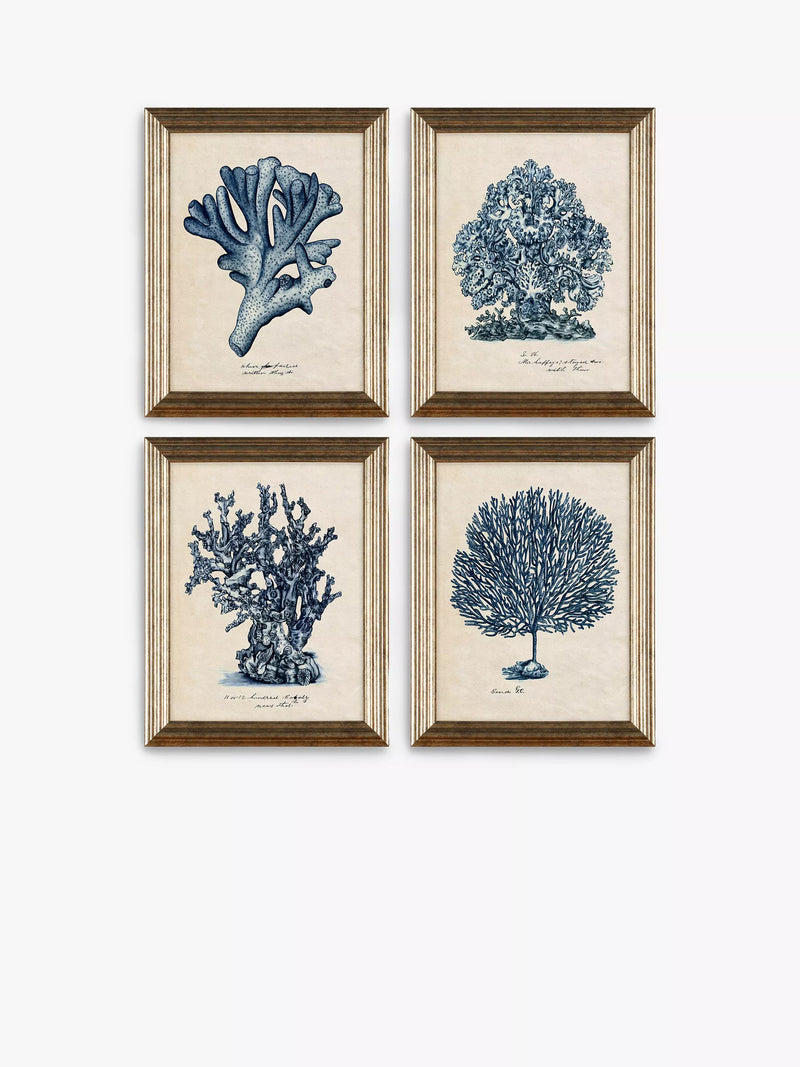 John Lewis sea coral framed prints set of 4, UK version