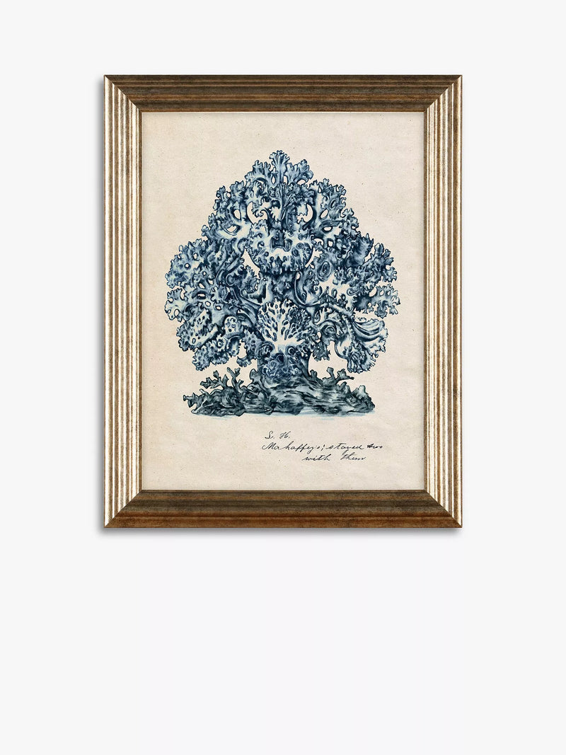 John Lewis sea coral framed prints set of 4, UK version