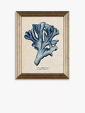 John Lewis sea coral framed prints set of 4, UK version