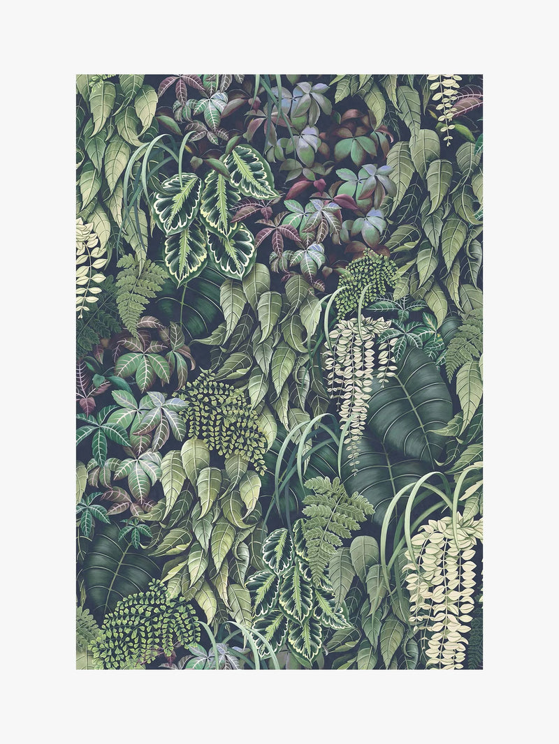 Osborne & Little Green Wall Wallpaper, Emerald Green