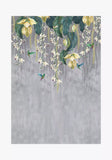 Osborne & Little Trailing Orchid Wallpaper, Grey/Lemon