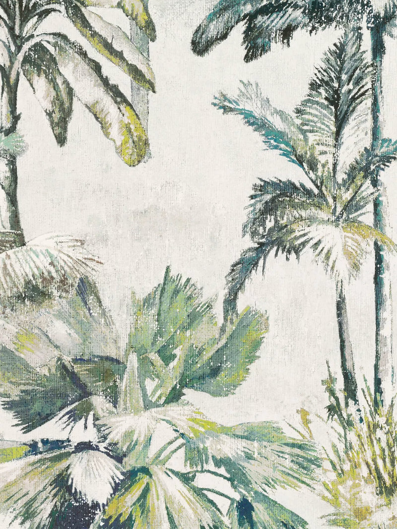 Romo Japura Exotic Tropical Palm Tree Wallpaper 10.05m x 68cm
