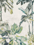 Romo Japura Exotic Tropical Palm Tree Wallpaper 10.05m x 68cm