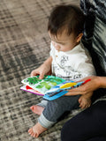 Baby Einstein Curious Explorers soft teether book - British product