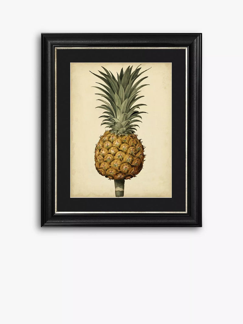 Brookpace Lascelles Antique Pineapple II framed print 60x50cm, imported from the UK