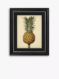 Brookpace Lascelles Antique Pineapple II framed print 60x50cm, imported from the UK
