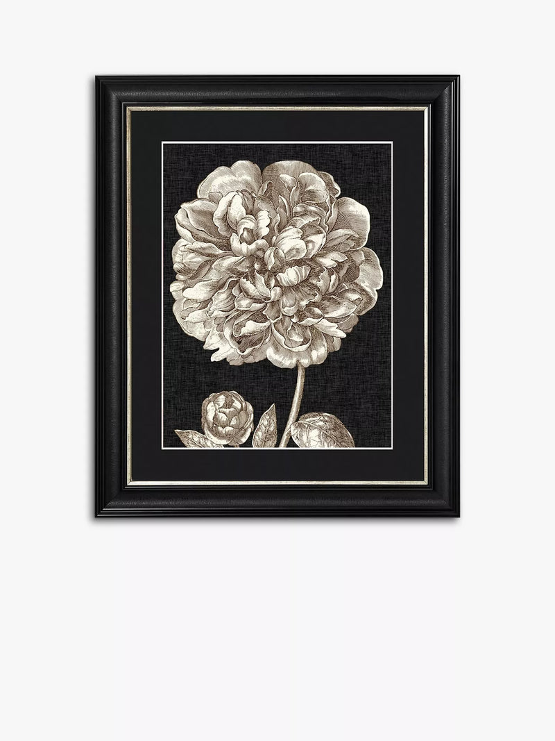 Dramatic Peony II framed print in black and white 60 x 50cm - British product