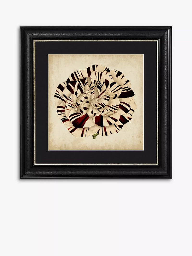 Brookpace Lascelles Pop Floral framed print black white 56x56cm (British brand)