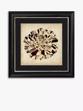 Brookpace Lascelles Pop Floral framed print black white 56x56cm (British brand)