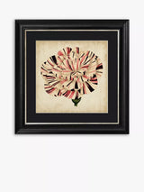 John Lewis Brookpace Lascelles Pop Floral VI Framed Print and Mount, 56 x 56cm, Black/Pink- Buy online at McGrocer