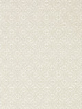 Sanderson Pinjara Trellis wallpaper (British brand)