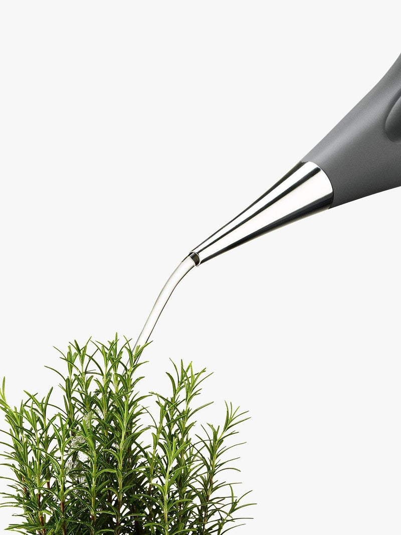 Eva Solo 2 Litre Watering Can for Plants - British product