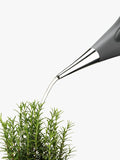 Eva Solo 2 Litre Watering Can for Plants - British product