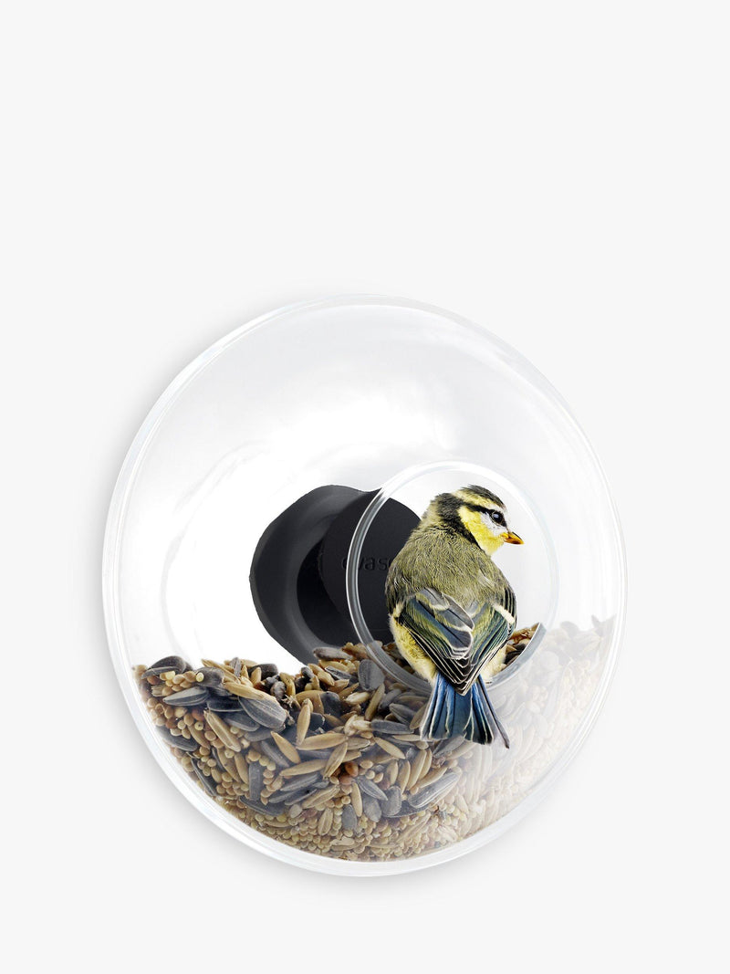 Eva Solo glass window bird feeder for small birds - British product