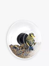 John Lewis Glass Window Bird Feeder for Small Birds- Buy online at McGrocer