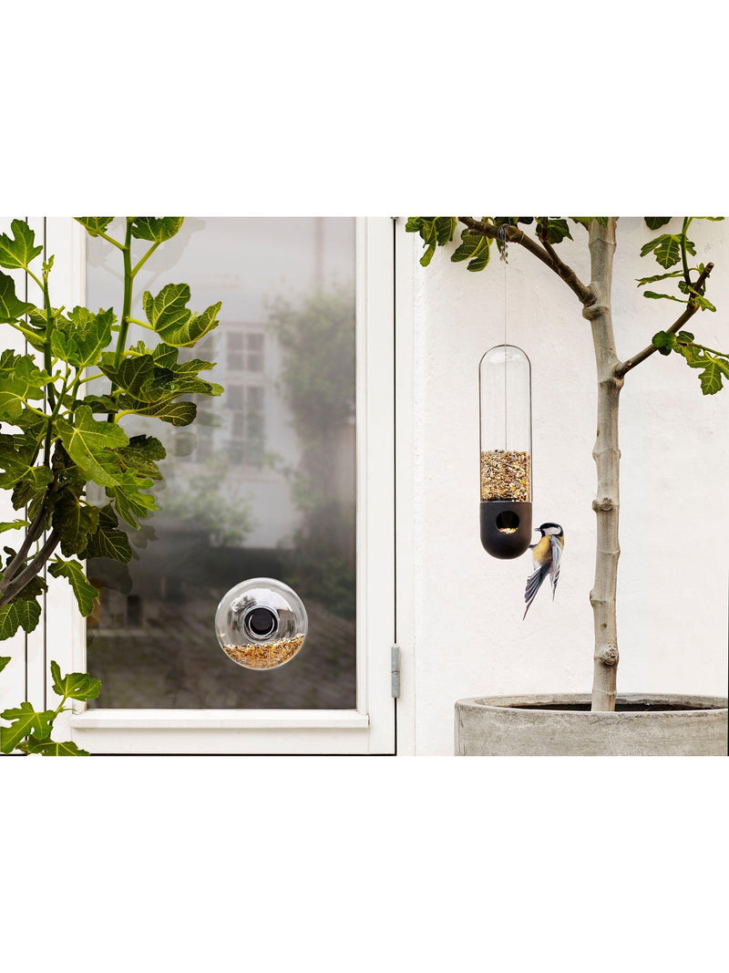 Eva Solo glass window bird feeder for small birds - British product