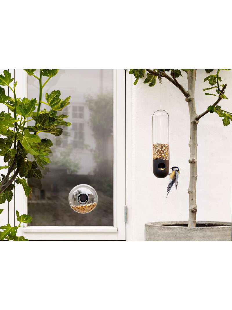 Eva Solo glass window bird feeder for small birds - British product