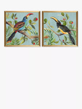 John Lewis John Lewis Aimee Wilson Paradise Toucan Bird Framed Prints Set of 2 Blue/Multi 33x33cm- Buy online at McGrocer