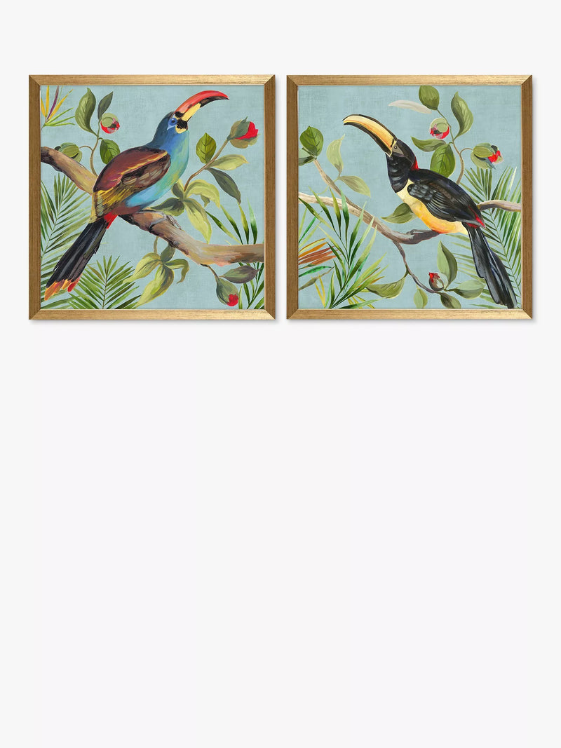 John Lewis framed prints toucan bird set of 2 33x33cm - British product