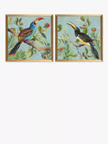 John Lewis framed prints toucan bird set of 2 33x33cm - British product