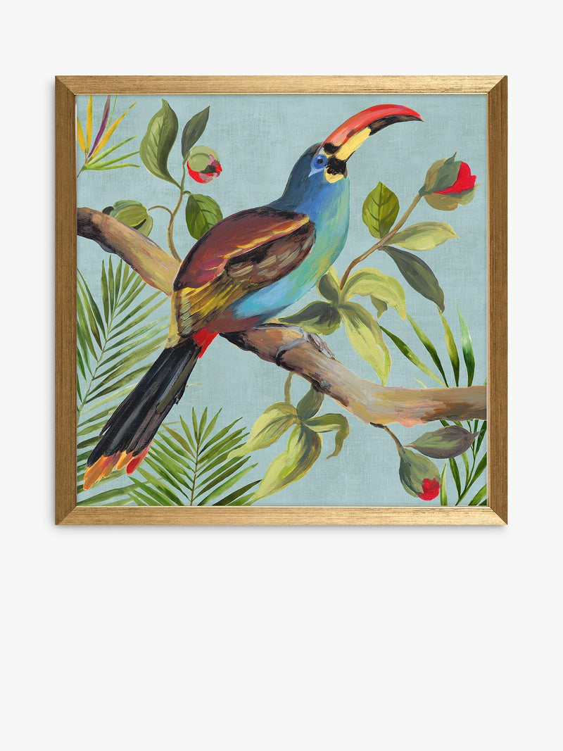 John Lewis framed prints toucan bird set of 2 33x33cm - British product