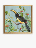 John Lewis framed prints toucan bird set of 2 33x33cm - British product