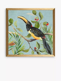 John Lewis framed prints toucan bird set of 2 33x33cm - British product