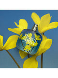 Floral Street Arizona Bloom eau de parfum 50ml, imported from the UK