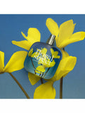 Floral Street Arizona Bloom eau de parfum 50ml, imported from the UK