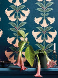 Cole & Son Angel's Trumpet wallpaper 10m x 68.5cm (British brand)
