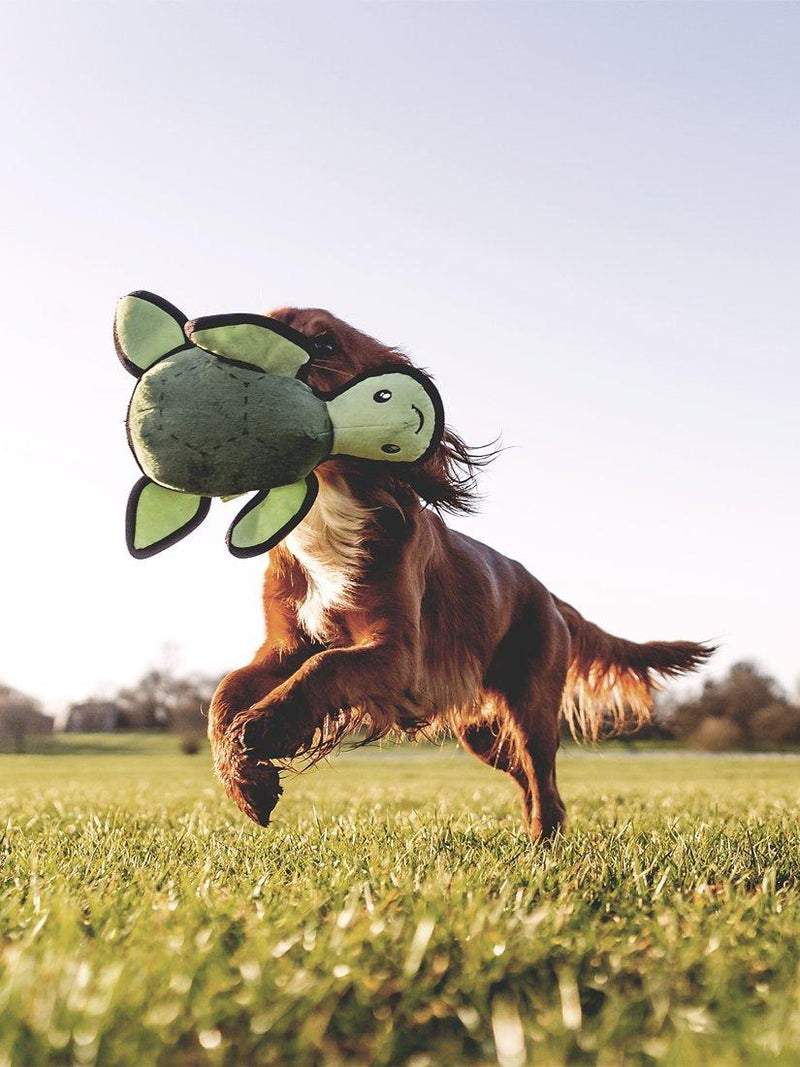 Beco Pets Rough & Tough Turtle dog toy medium, imported from the UK