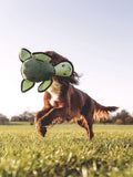 Beco Pets Rough & Tough Turtle dog toy medium, imported from the UK