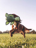 Beco Pets Rough & Tough Turtle dog toy medium, imported from the UK