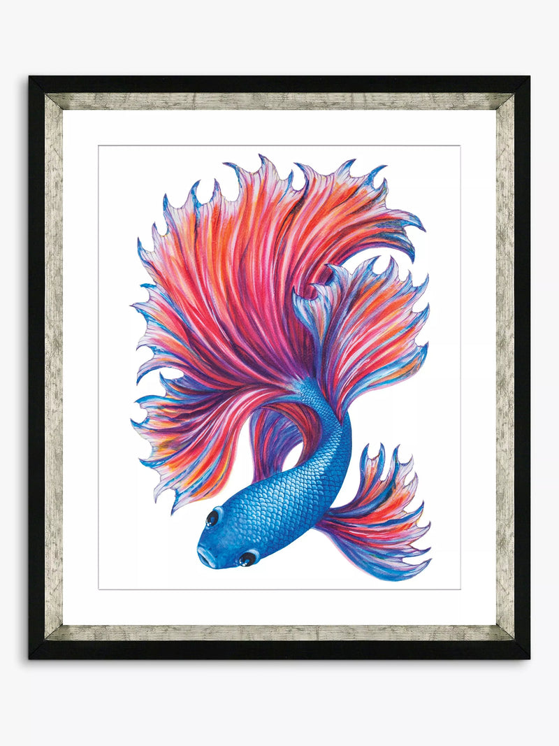 Brookpace Lascelles Fancy Fish 2 framed print 56x46cm, UK version
