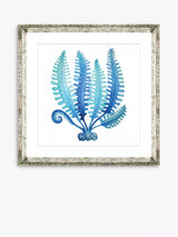 John Lewis Brookpace Lascelles Blue Seaweed 3 Framed Print & Mount, 46 x 46cm, Blue- Buy online at McGrocer