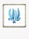 Brookpace Lascelles blue seaweed framed print 46x46cm, imported from the UK