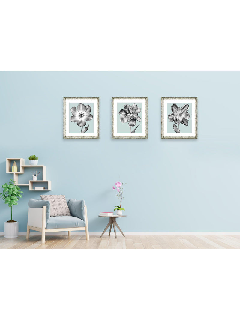 Brookpace Lascelles framed print tulip on blue 46x36cm, imported from the UK