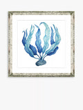 Brookpace Lascelles framed print blue seaweed 46x46cm, imported from the UK