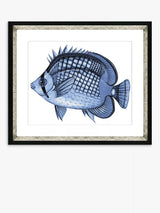 John Lewis Brookpace Lascelles Blue Fish 2 Framed Print & Mount, 36 x 46cm- Buy online at McGrocer