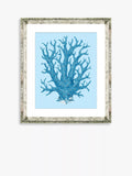 Brookpace Lascelles framed print blue coral 46x36 cm, UK version