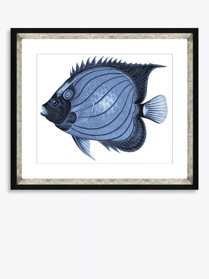 Brookpace Lascelles framed fish print Blue Fish 1 36x46cm, imported from the UK