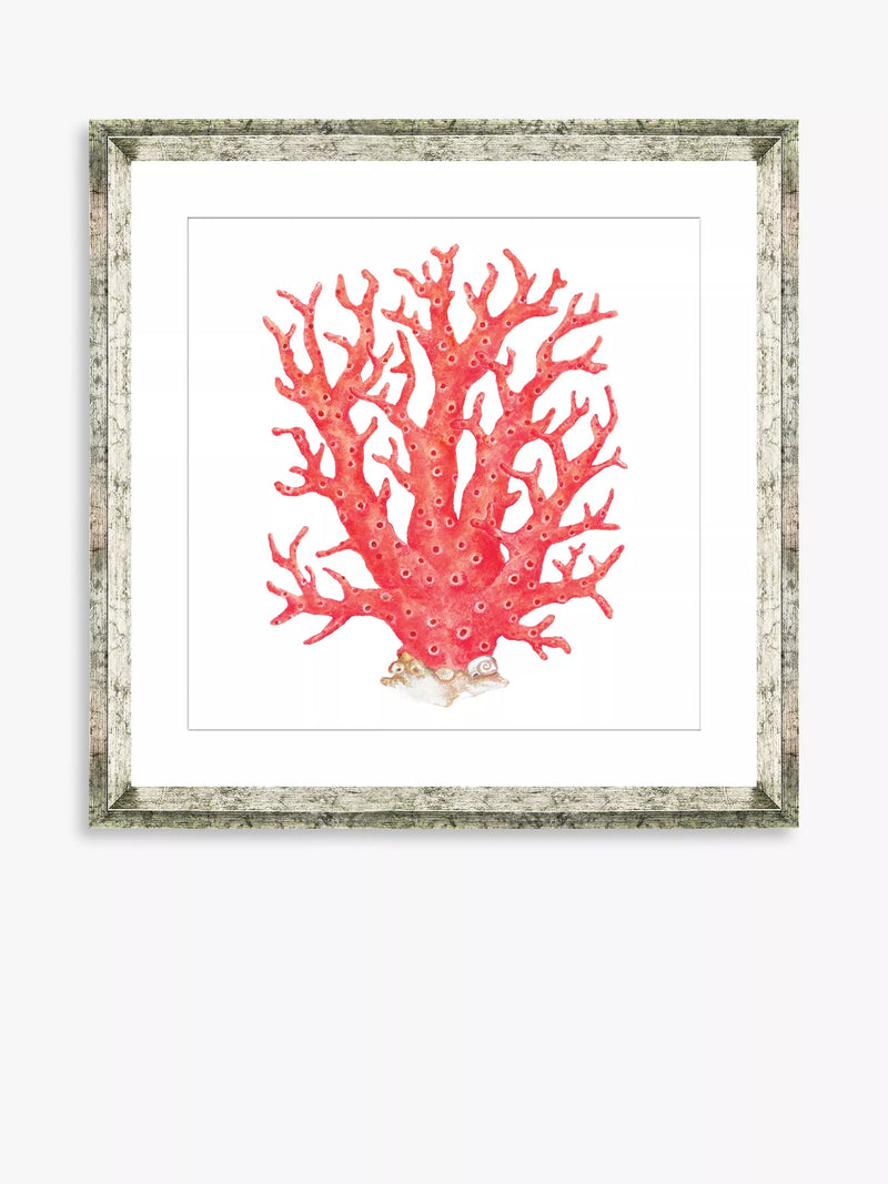 Brookpace Lascelles red coral 9 framed print 46x46cm - British product