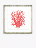 Brookpace Lascelles red coral 9 framed print 46x46cm - British product