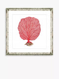 Brookpace Lascelles Red Coral 3 framed print 46x46cm, imported from the UK