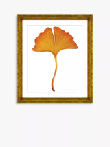 John Lewis Brookpace Lascelles Ginkgo Leaf 3 Framed Print & Mount, Orange, 56 x 46cm- Buy online at McGrocer