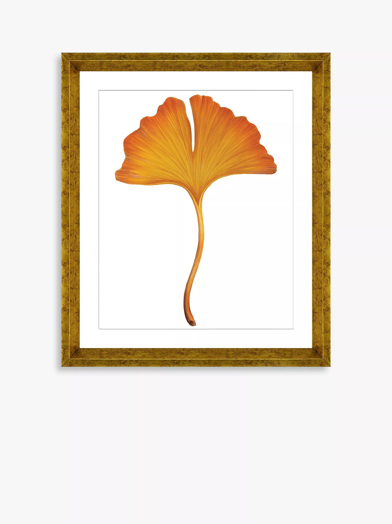 Brookpace Lascelles Ginkgo Leaf framed print 56x46cm orange - British product