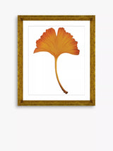 John Lewis Brookpace Lascelles Ginkgo Leaf 4 Framed Print 56 x 46cm Orange- Buy online at McGrocer
