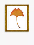 Brookpace Lascelles framed print Ginkgo Leaf 4 orange 56x46cm, imported from the UK