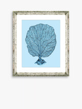 John Lewis Brookpace Lascelles Blue Coral 1 Framed Print & Mount, 46 x 36cm, Blue- Buy online at McGrocer